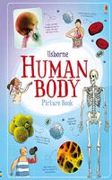 Human Body Picture Book