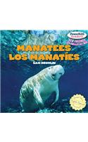 Manatees / Los Manatíes