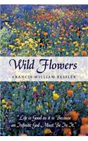 Wild Flowers