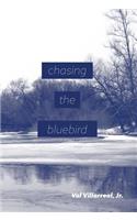 Chasing the Bluebird