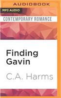 Finding Gavin