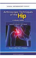 Arthroscopic Techniques of the Hip