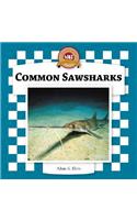 Common Sawsharks