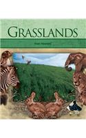 Grasslands