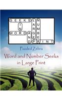 Word and Number Seeks in Large Print