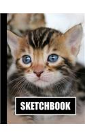 Sketchbook