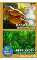 A Smart Kids Guide to Magnificent Mushrooms and Resplendent Rainforests