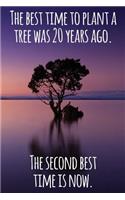 The Best Time to Plant a Tree Was 20 Years Ago. the Second Best Time Is Now.