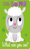 What Can You See? Little Lamb What Can You See?