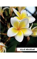 Blank Sketchbook.: Glossy & Soft Cover, White Blank Sketchbook 8"x10" 50 Pages.(Blank Sketchbook Flower Edition.)