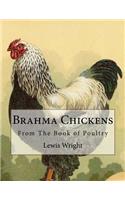 Brahma Chickens: From The Book of Poultry