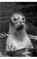 Seal in the Water Journal: 150 page lined notebook/diary