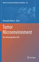 Tumor Microenvironment