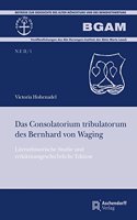Das Consolatorium Tribulatorum Des Bernhard Von Waging: Redaktionsgeschichtliche Edition Und Literarhistorische Studie