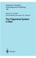 The Trigeminal System in Man