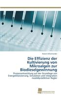 Effizienz der Kultivierung von Mikroalgen zur Biodieselgewinnung