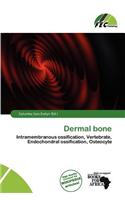 Dermal Bone