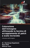 Colorazione dell'immagine utilizzando la tecnica di accoppiamento di patch a scala incrociata