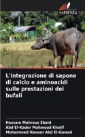 L'integrazione di sapone di calcio e aminoacidi sulle prestazioni dei bufali