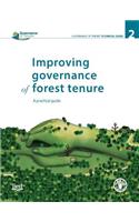 Improving governance of forest tenure