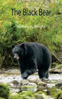 Black Bear