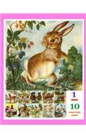 1 - 10 Counting Book