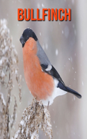 Bullfinch: Fun Learning Facts About Bullfinchf