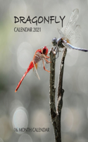 Dragonfly Calendar 2021: 16 Month Calendar