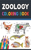 Zoology Coloring Book: Zoology Coloring & Activity Book for Kids. An Entertaining And Instructive Guide To Veterinary Anatomy. Zoology Coloring Pages for Kids Toddlers Tee