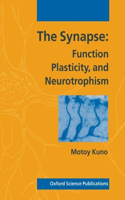 The Synapse