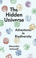 Hidden Universe