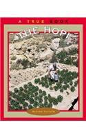 The Hopi
