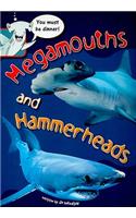 Megamouths and Hammerheads