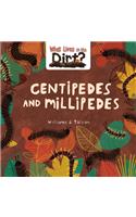 Centipedes and Millipedes