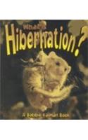 What is Hibernation?