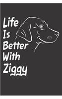 Life Is Better With Ziggy