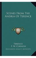 Scenes From The Andria Of Terence