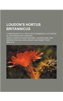 Loudon's Hortus Britannicus; A Catalogue of All the Plants Indigenous, Cultivated In, or Introduced to Britain