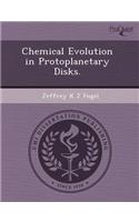Chemical Evolution in Protoplanetary Disks