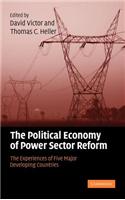 Political Economy of Power Sector Reform, The: The Experiences of Five Major Developing Countries