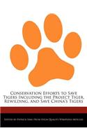Conservation Efforts to Save Tigers Including the Project Tiger, Rewilding, and Save China's Tigers