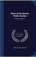 Birds of the Boston Public Garden
