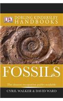Fossils