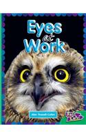 All about Eyes at Work Fast Lane Emerald Non-Fiction