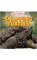 Snapping Turtles