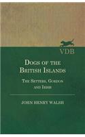 Dogs Of The British Islands. The Setters.Gordon And Irish.