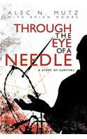 Through the Eye of a Needle