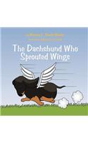 Dachshund Who Sprouted Wings