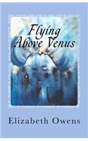 Flying Above Venus