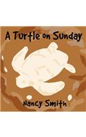 A Turtle on Sunday